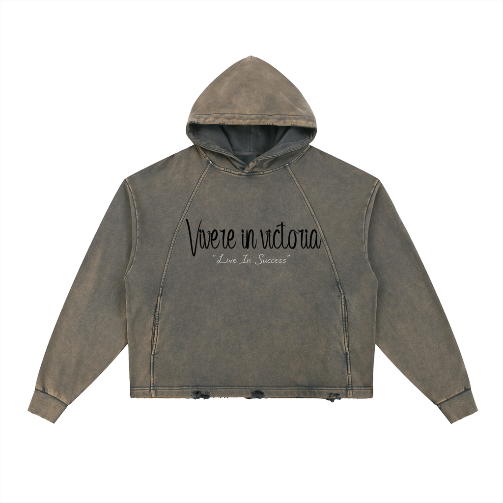 Vintage Washed Frayed-Hem Hoodie